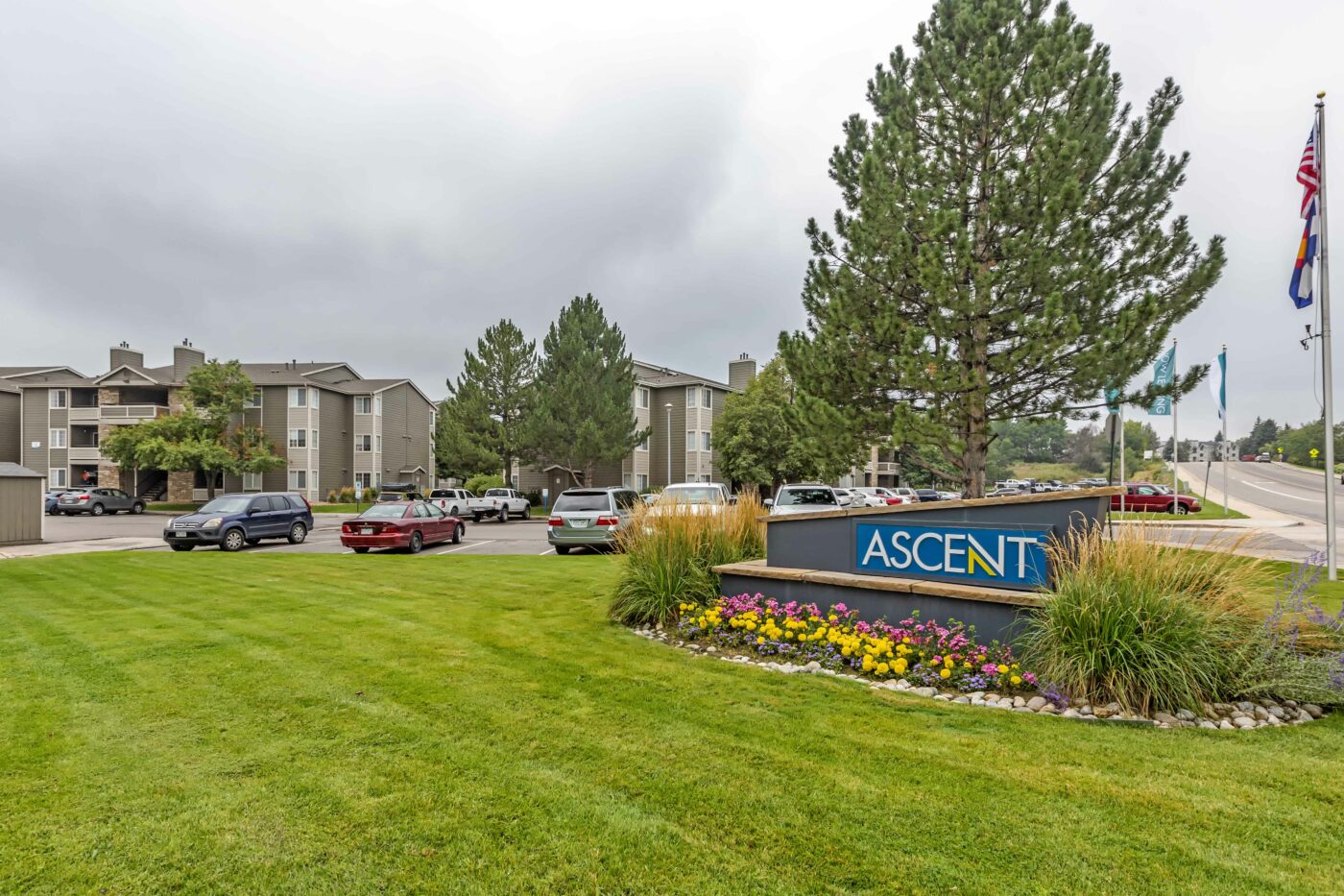 Ascent Avanath Capital Management, LLC.