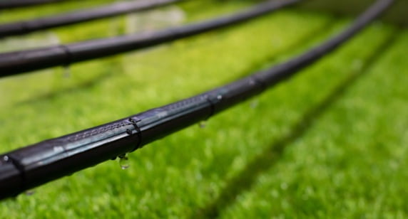 drip smart suspended hoses, water trickling down from hoses onto manicured lawn