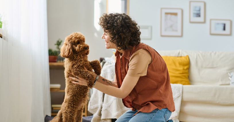 Woman_Playing_With_Her_Pet_At_Home_original_2913837.jpg